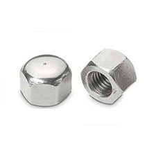 Hex Cap Nuts