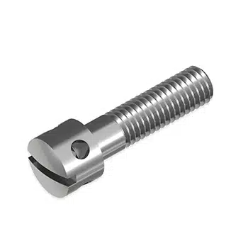 Slotted Capstan Screw