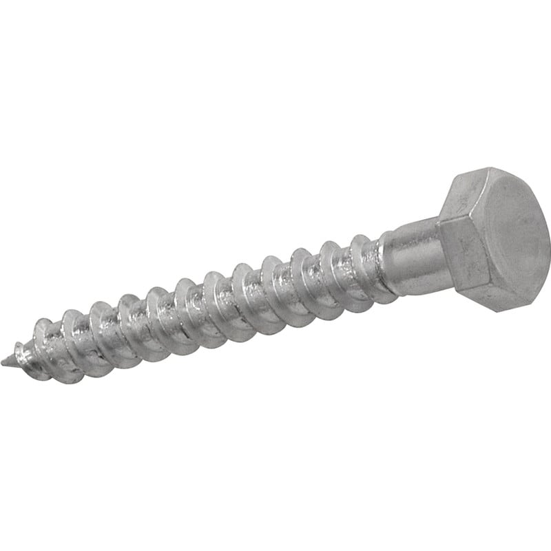 Stainless Steel Coach Screw