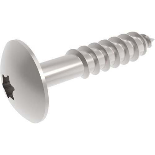 Stainless Steel Mushroom Headscrew