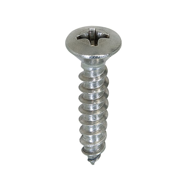 Stainless Steel Oval Head Screw