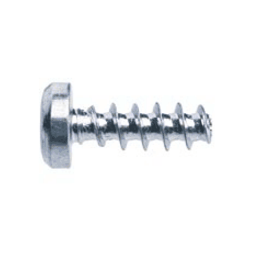 Stainless Steel Thread Forming Screw